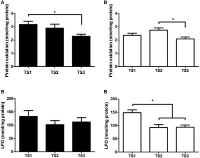 Influence of Estimated Training Status on Anti and <mark class="highlighted">Pro-Oxidant</mark> Activity, Nitrite Concentration, and Blood Pressure in Middle-Aged and Older Women